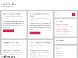 Sites similar to evcilhayvanilan.com
