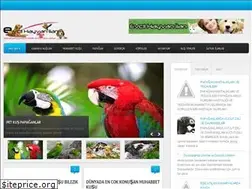Sites similar to evcilhayvansitesi.blogspot.com