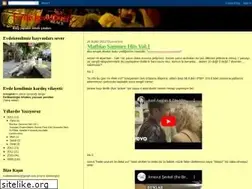 Sites similar to evdekendimiz.blogspot.com
