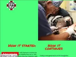 Sites similar to evergladesoutpost.org
