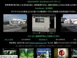Sites similar to evergreen-jp.com