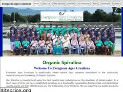 Sites similar to evergreenagrocreations.com
