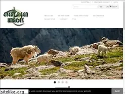 Sites similar to evergreenimages.com