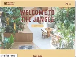 Sites similar to evergreenorganics.qa