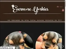 Sites similar to evermoreyorkies.com