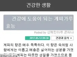 Sites similar to everseen.tistory.com
