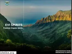 Sites similar to evispirits.com