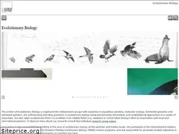 Sites similar to evol.bio.lmu.de
