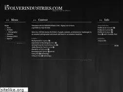 Sites similar to evolverindustries.com