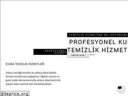 Sites similar to evoratemizlik.com