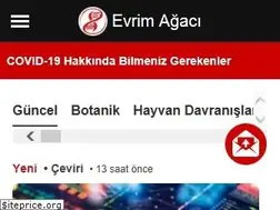 Sites similar to evrimagaci.com