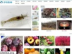 Sites similar to ewebweb.com