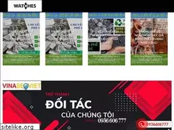 Sites similar to ewewatches.net