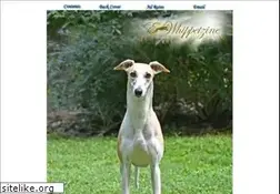 Sites similar to ewhippetzine.com