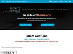 Sites similar to exclusivepigeons.co.za