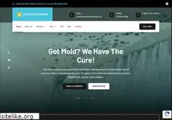 Sites similar to executiverestoration.com