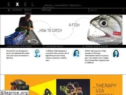 Sites similar to exelmagazine.org