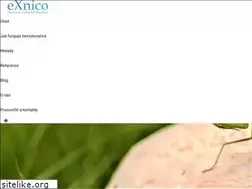 Sites similar to exnico.cz