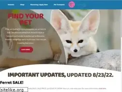 Sites similar to exoticcatsforsale.com