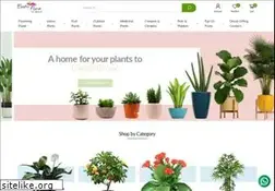 Sites similar to exoticflora.in