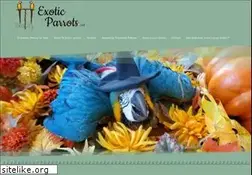 Sites similar to exoticparrots.net