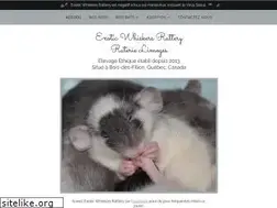 Sites similar to exoticwhiskersrattery.com