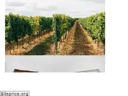 Sites similar to experienceluxury.co