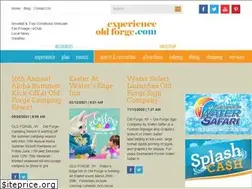 Sites similar to experienceoldforge.com