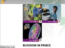 Sites similar to experienceprincegeorges.com