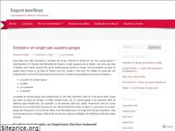 Sites similar to expertmoelleux.com