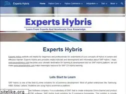 Sites similar to expertshybris.com