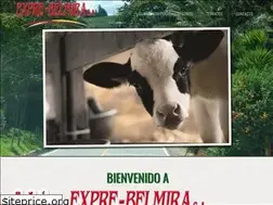 Sites similar to expresobelmira.com