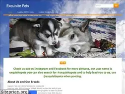Sites similar to exquisitepets.weebly.com