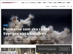 Sites similar to extrakt.se