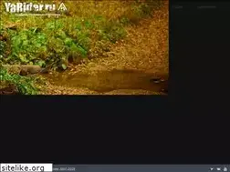 Sites similar to extremeyar.ru