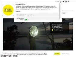 Sites similar to eyesinprogress.com