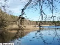 Sites similar to eyeskills.org
