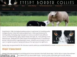 Sites similar to eyespybordercollies.com