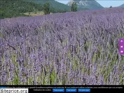 Sites similar to eygalayes.fr