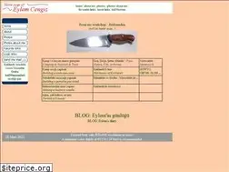 Sites similar to eylemcengiz.com
