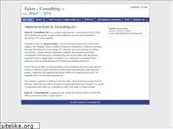 Sites similar to eylonconsulting.com