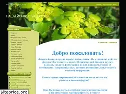 Sites similar to eyorkie.ucoz.ru