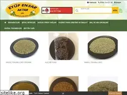 Sites similar to eyupensaraktar.com