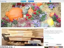 Sites similar to ezevel.canalblog.com