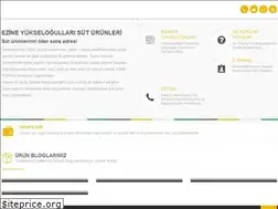 Sites similar to ezinepeynirim.com