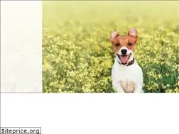 Sites similar to ezpetclinic.com