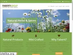Sites similar to faberti.al