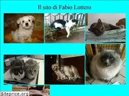 Sites similar to fabiolottero.it