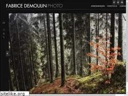 Sites similar to fabricedemoulin.com