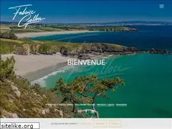 Sites similar to fabricegallou.fr
